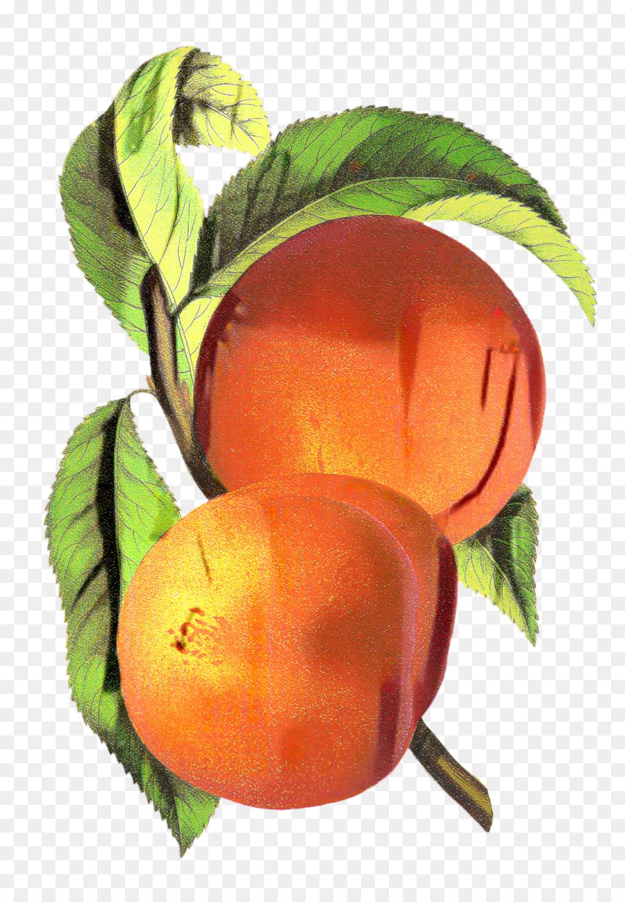 Melocotón，La Fruta PNG