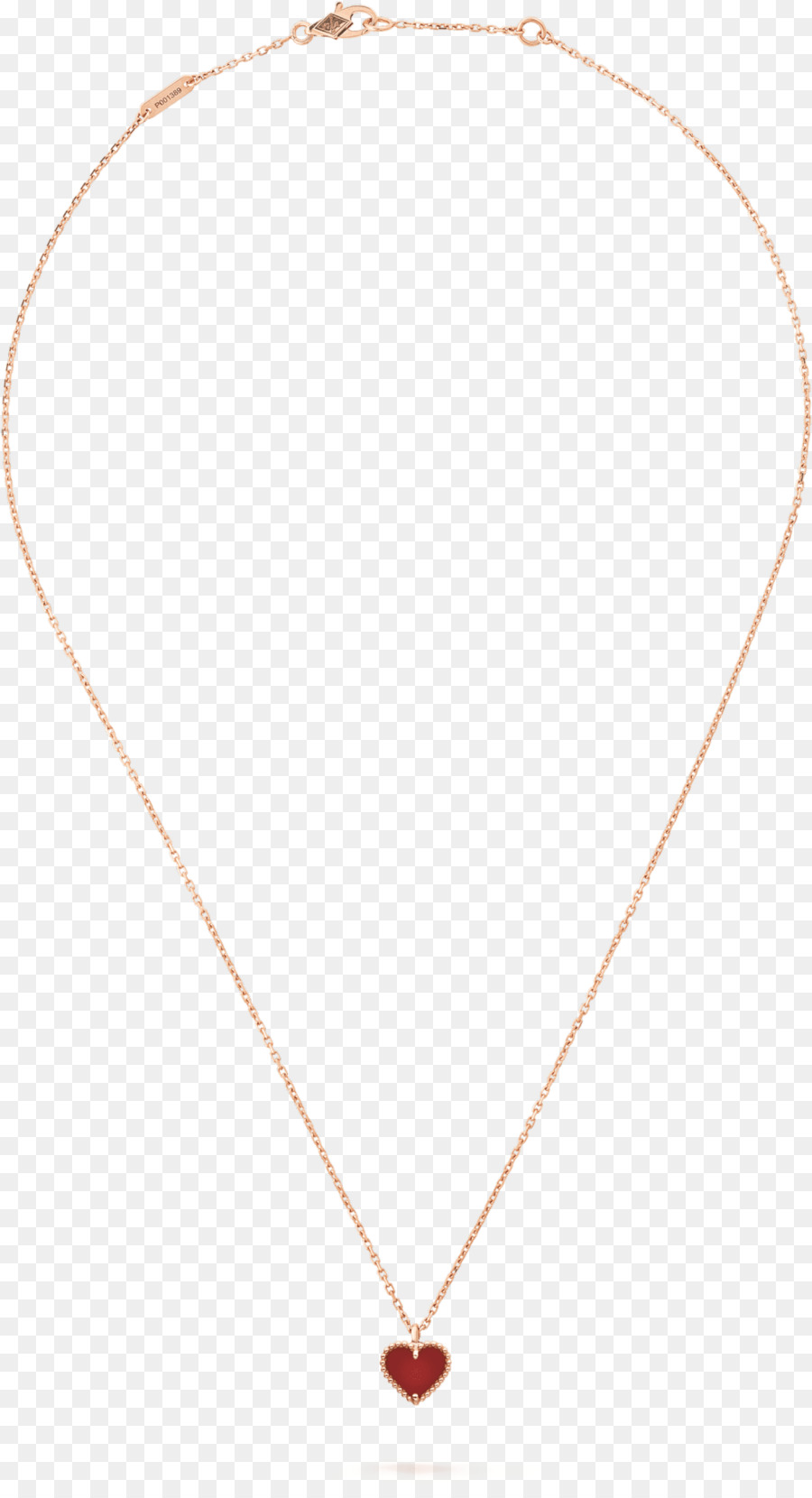 Collar，Durante PNG