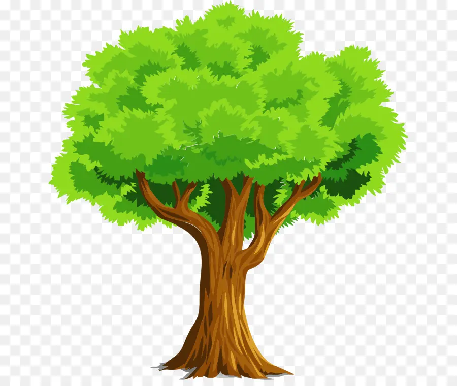 Árbol，Descargar PNG