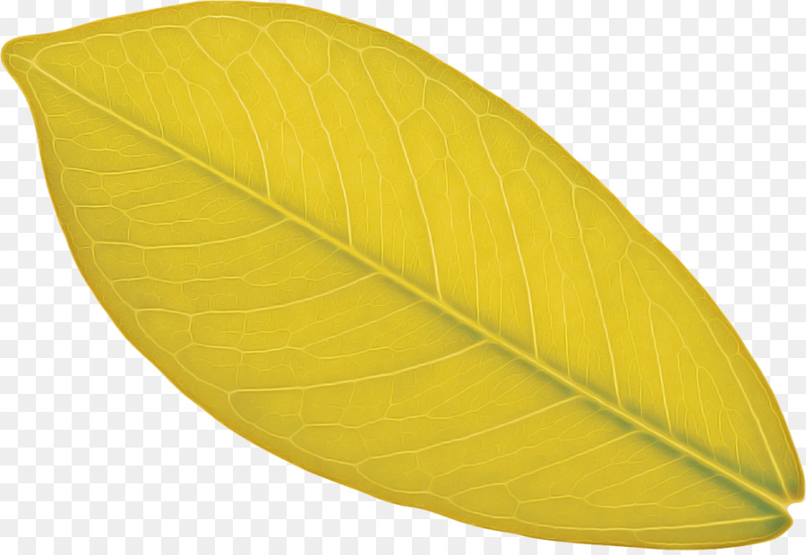 Hoja Verde，Naturaleza PNG