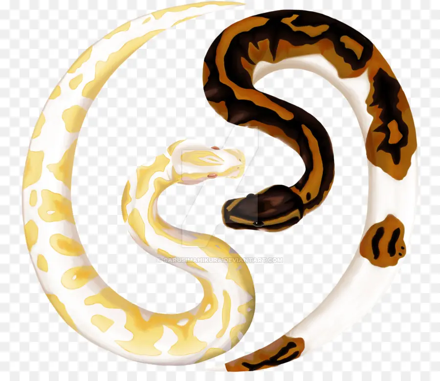 Las Serpientes，Reptiles PNG