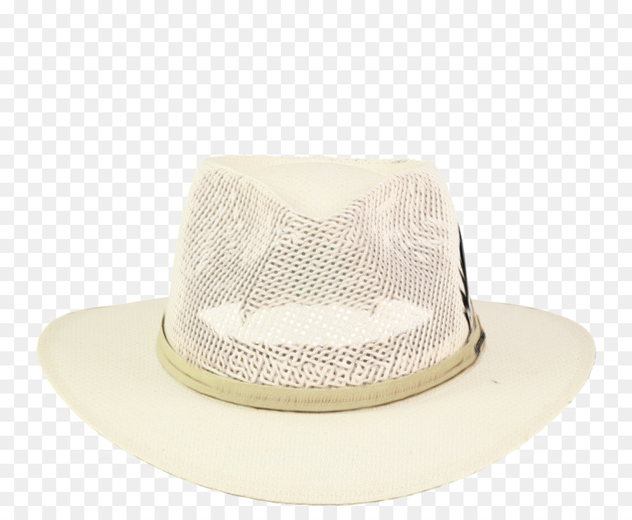 Fedora， PNG