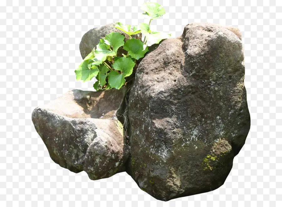 Roca，Boulder PNG