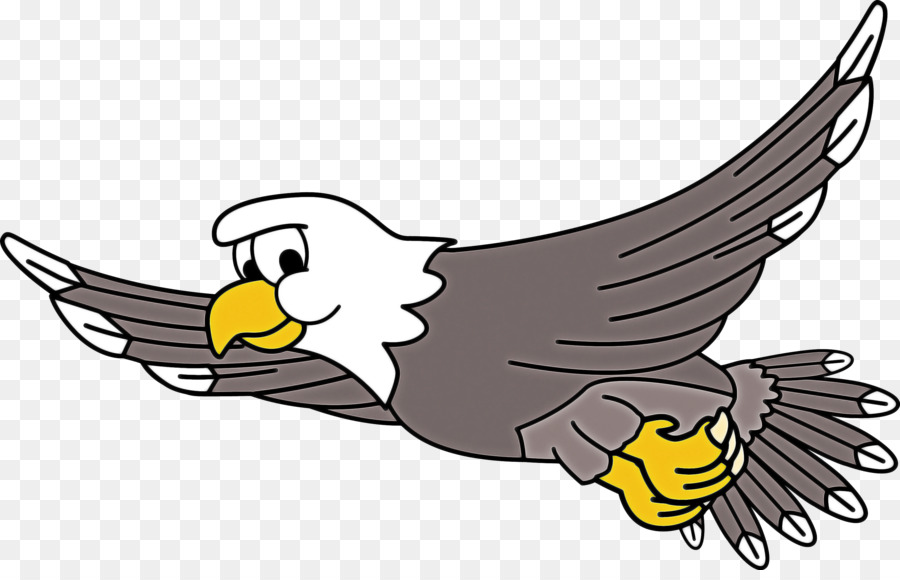 Pájaro De Dibujos Animados，Vuelo PNG