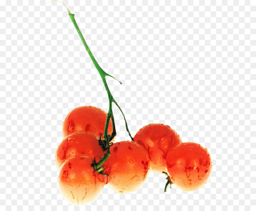 Frutos Rojos，Grupo PNG