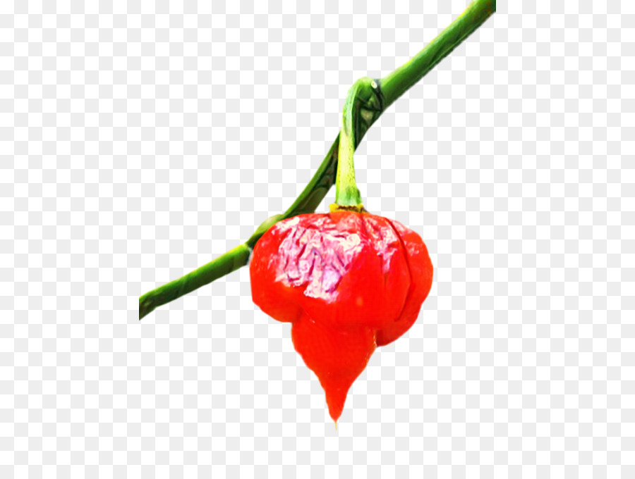 Habanero，Ojo Aves De Chile PNG