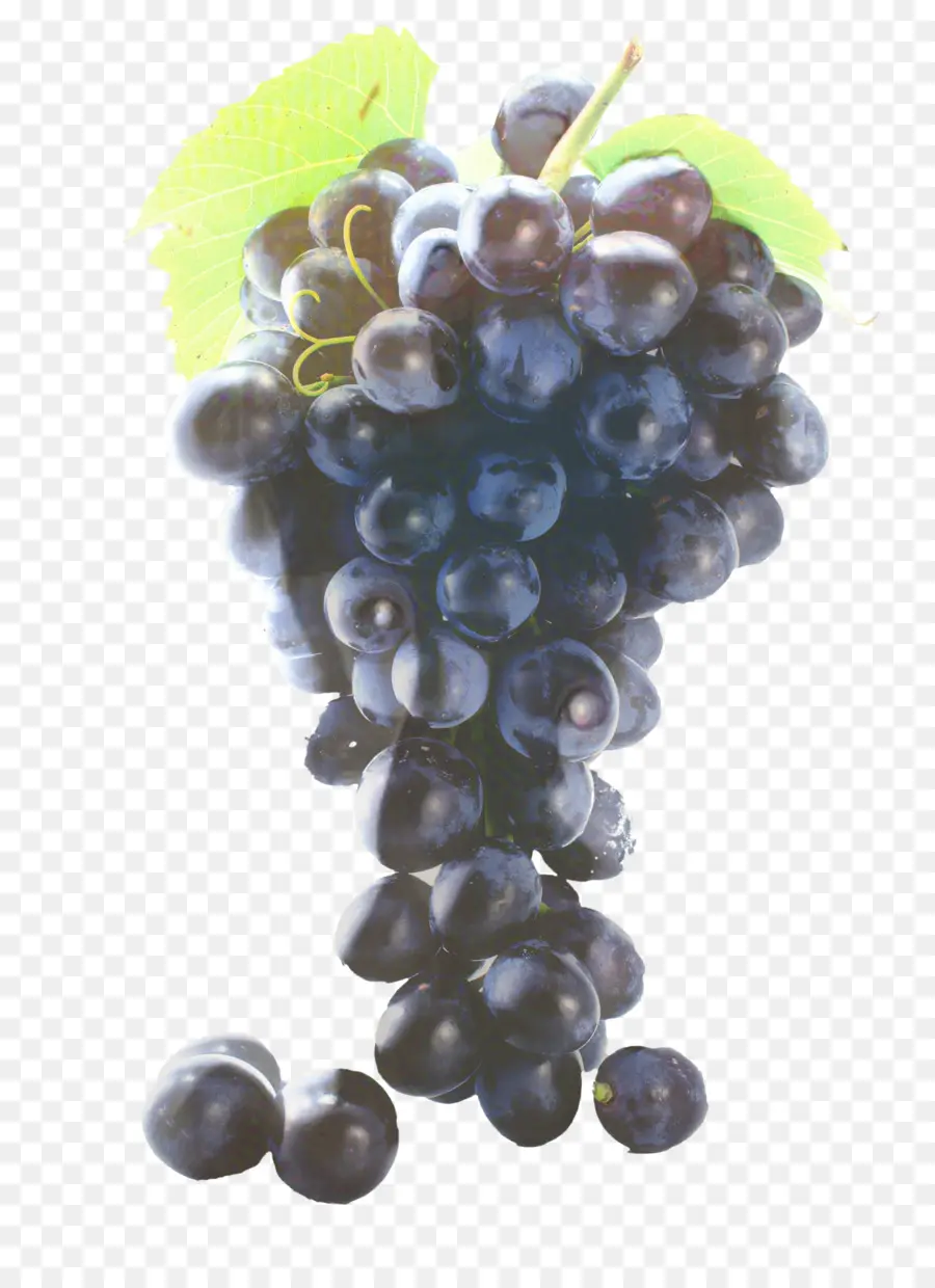 Uvas Rojas，Grupo PNG