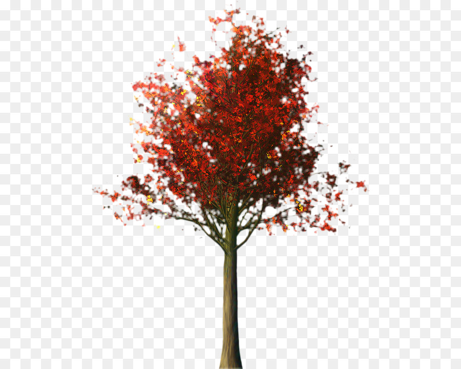 Otoño，Árbol PNG