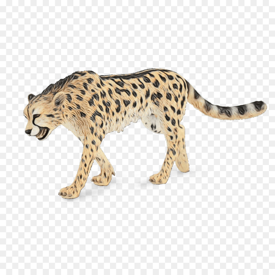 Guepardo，Leopardo PNG