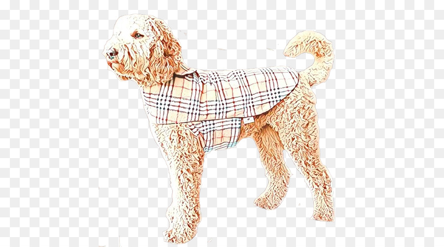 Goldendoodle，Perro De Agua Español PNG