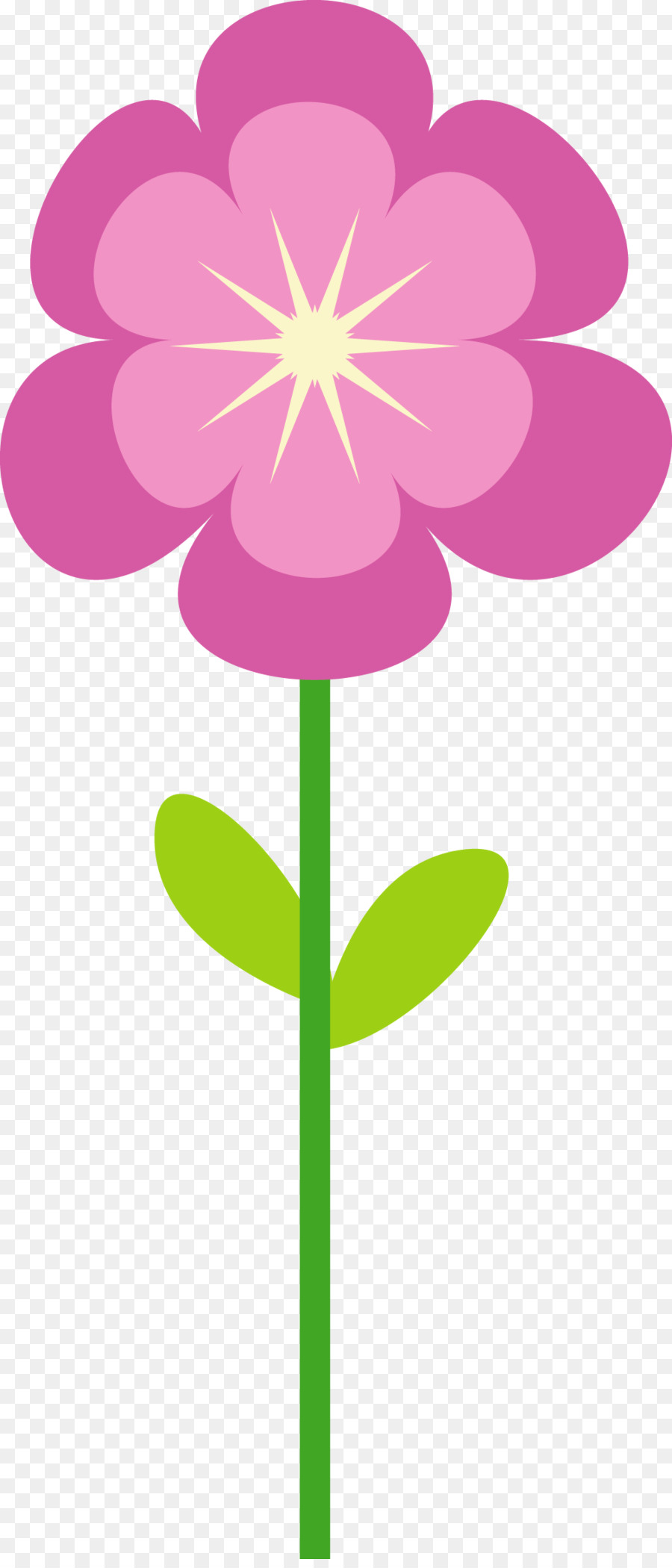 Diseño Floral，Papel PNG