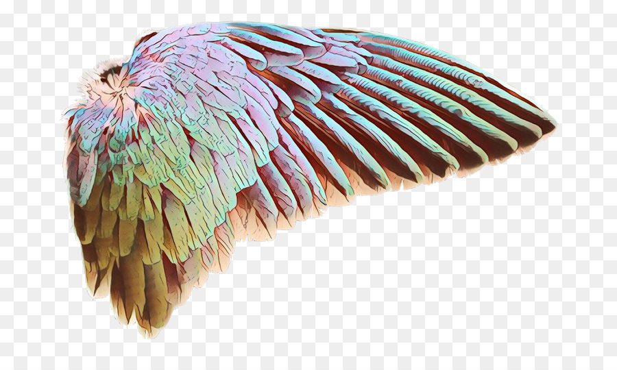 Ala Azul，Pluma PNG