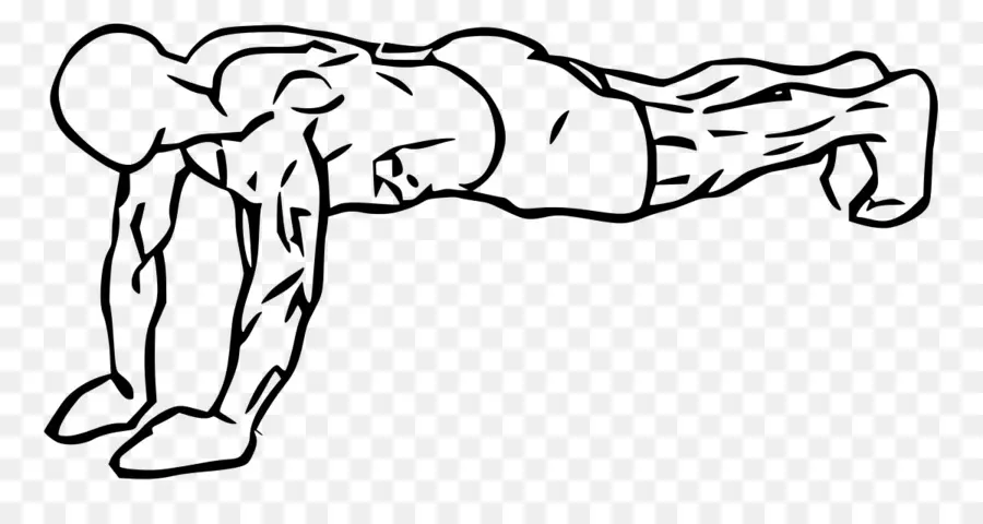 Pushup，El Músculo Tríceps Braquial PNG