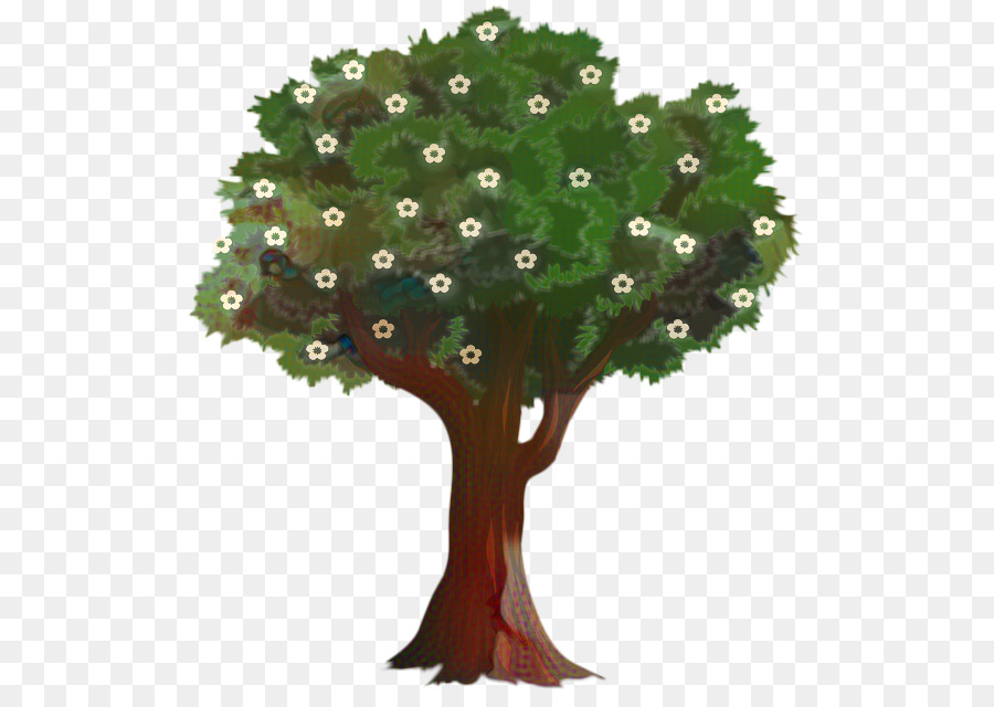 Árbol，Dibujo PNG