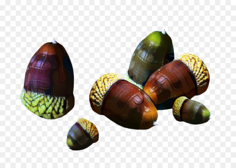 Caracol，Bellota PNG