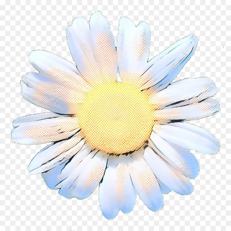 Común Daisy，Flor PNG