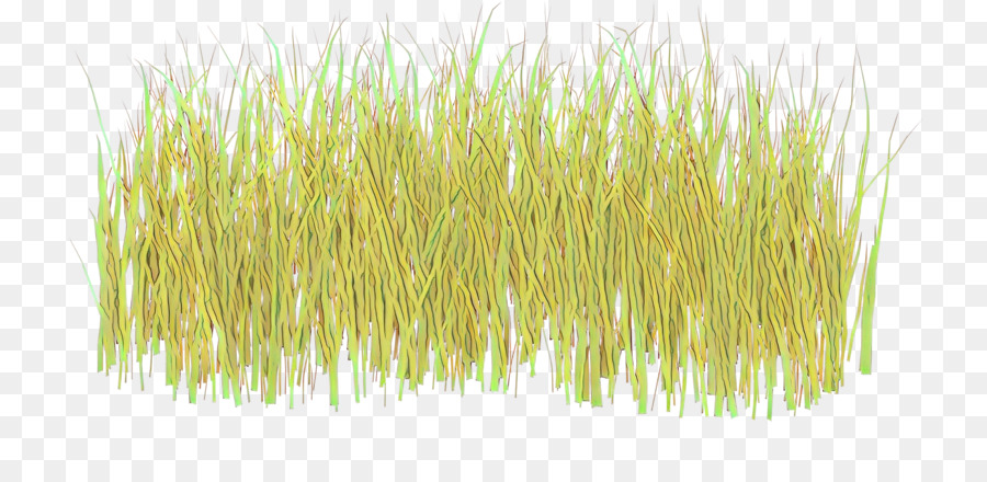 Wheatgrass，Grano PNG