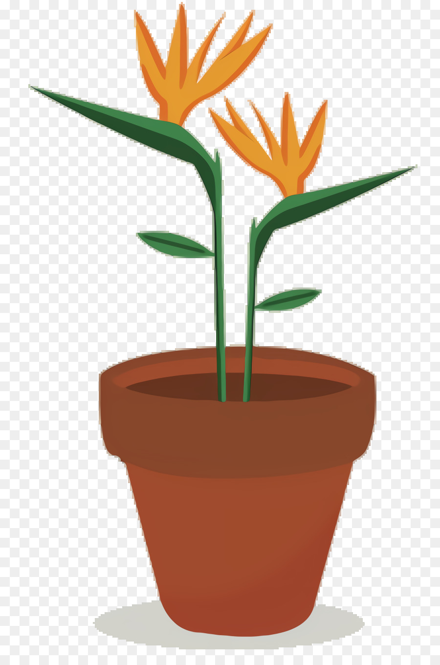 Las Plantas，Flor PNG