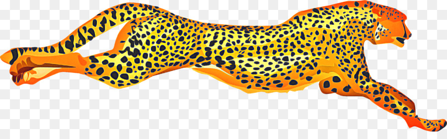 Guepardo，Jaguar PNG