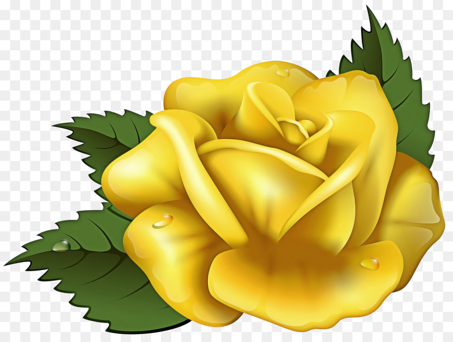 Rosa，Arte PNG