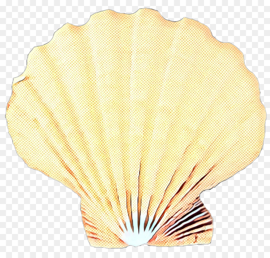 Concha，Conchology PNG