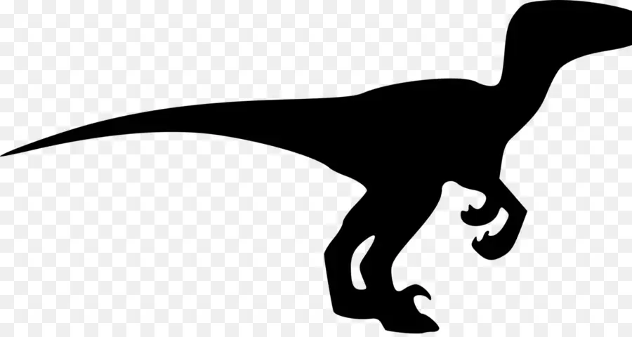Velociraptor，El Tyrannosaurus Rex PNG