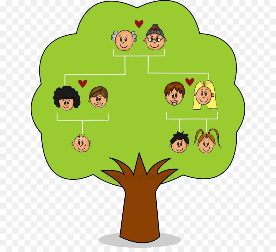 árbol De Familia，Familia PNG