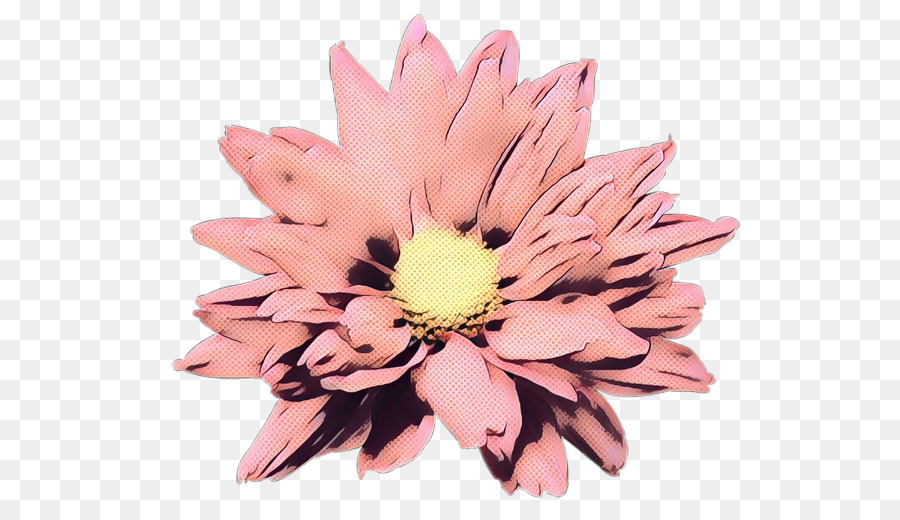 Crisantemo，Las Flores Cortadas PNG