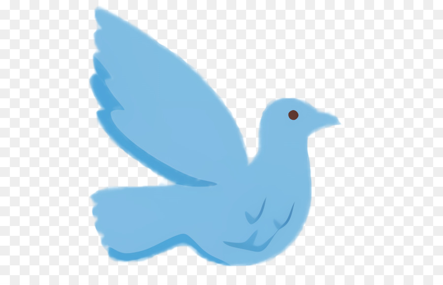 Pájaro Azul，Vuelo PNG