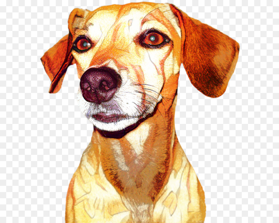 Raza De Perro，Perro De Compañía PNG