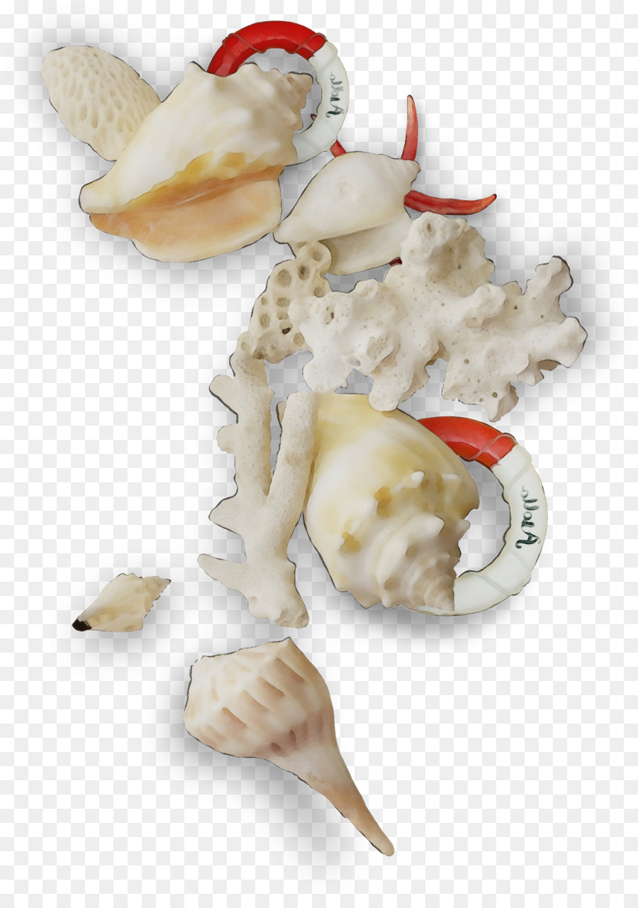 Almeja，Receta PNG