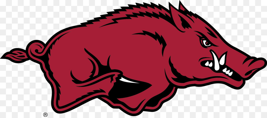 La Universidad De Arkansas，Arkansas Equipos Universitarios Razorbacks De Fútbol PNG