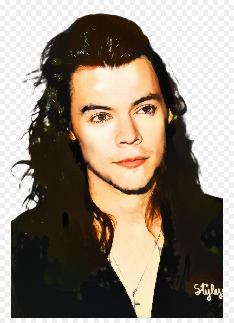 Estilos De Harry，El Pelo Largo PNG