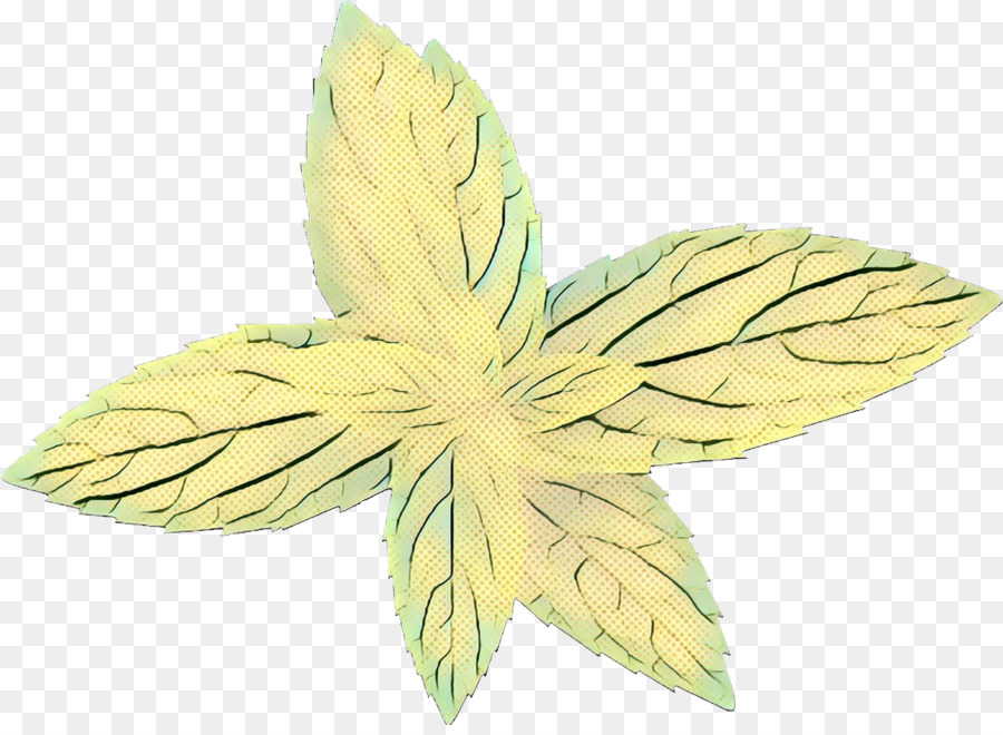 Hoja，Árbol PNG