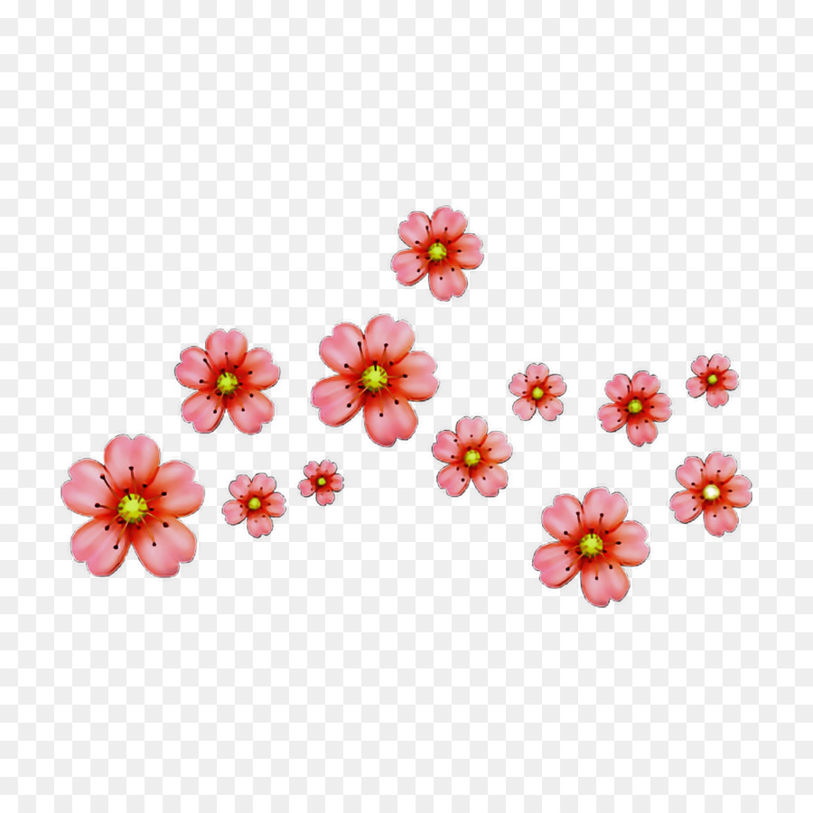 Flores Rosadas Y Blancas，Flores PNG