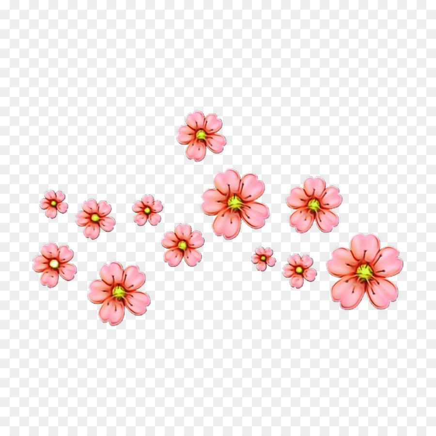 Flores Rosadas，Florecer PNG