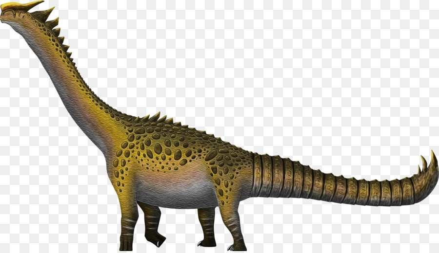 Velociraptor，Brachiosaurus PNG