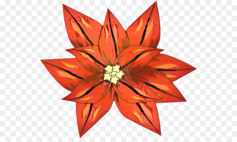 Flor De Pascua，Rojo PNG