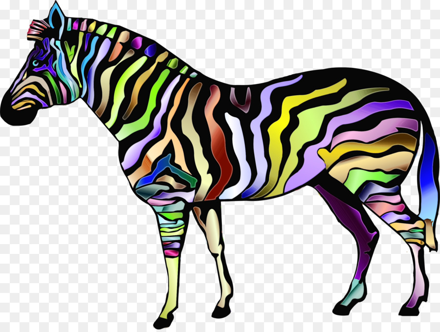 Cebra，Caballo PNG