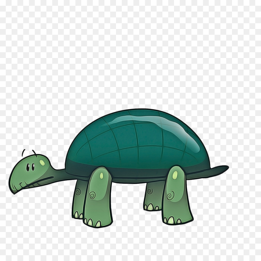 Tortuga，Común De Ajuste De La Tortuga PNG