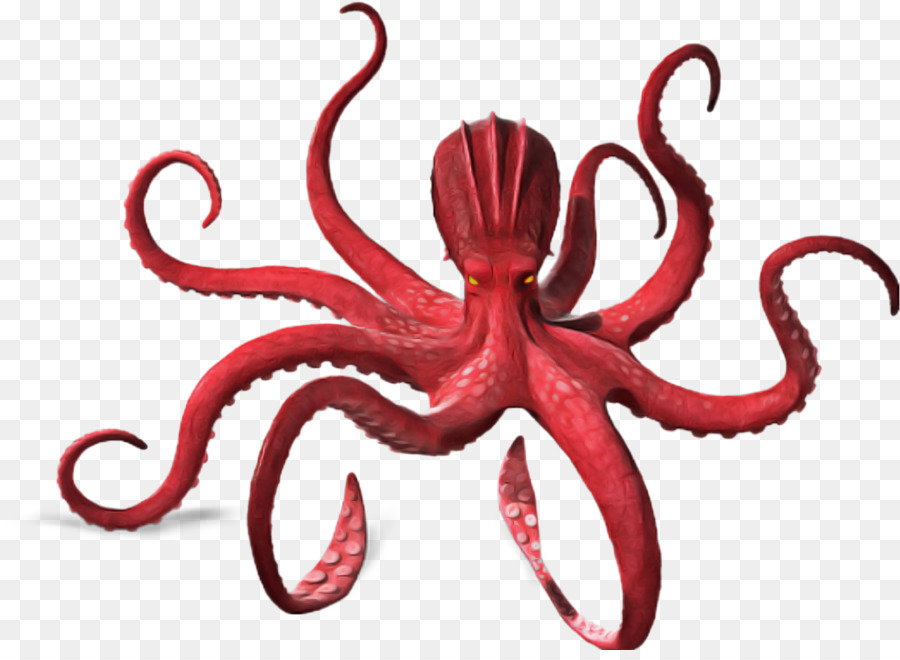 Pulpo，Sombrero Negro PNG