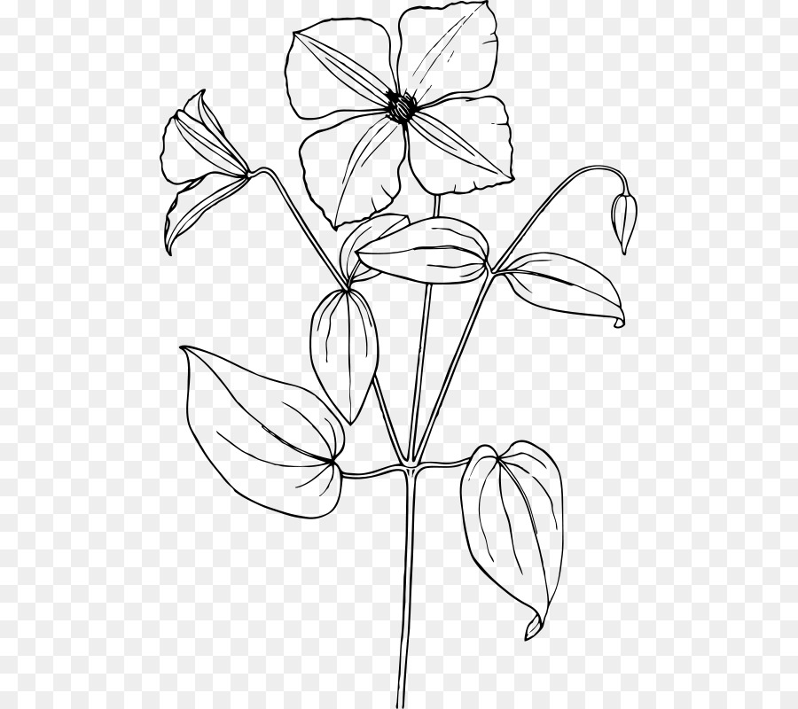 Dibujo De Flores，Hojas PNG