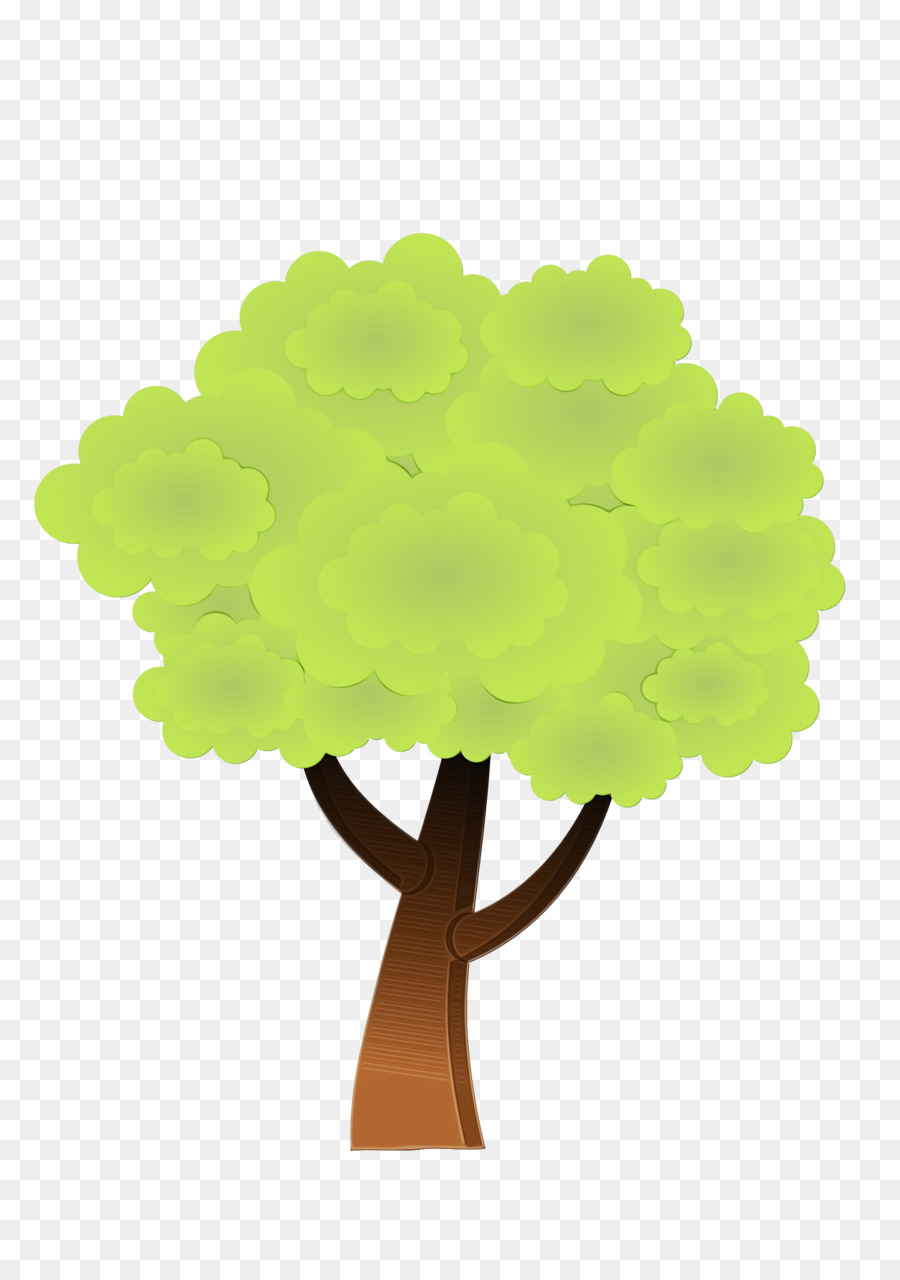 Árbol，Verde PNG