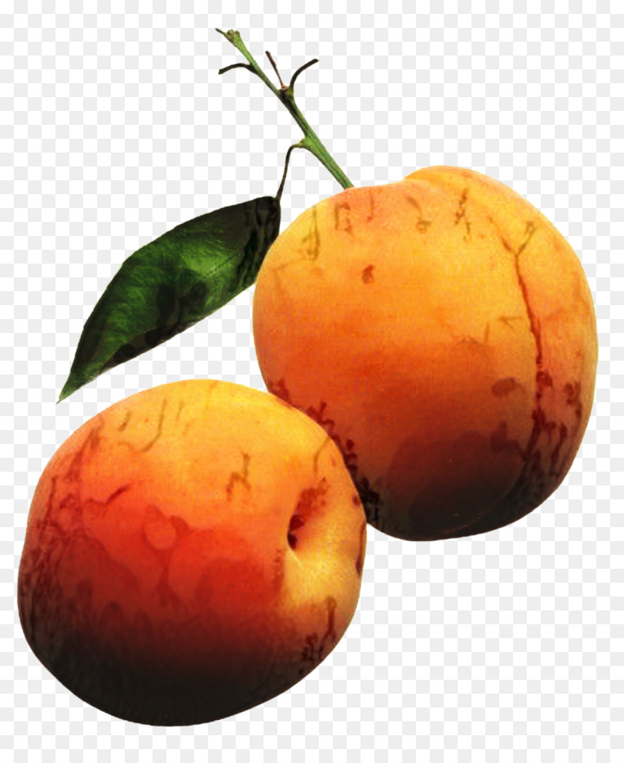 Albaricoque，La Fruta PNG