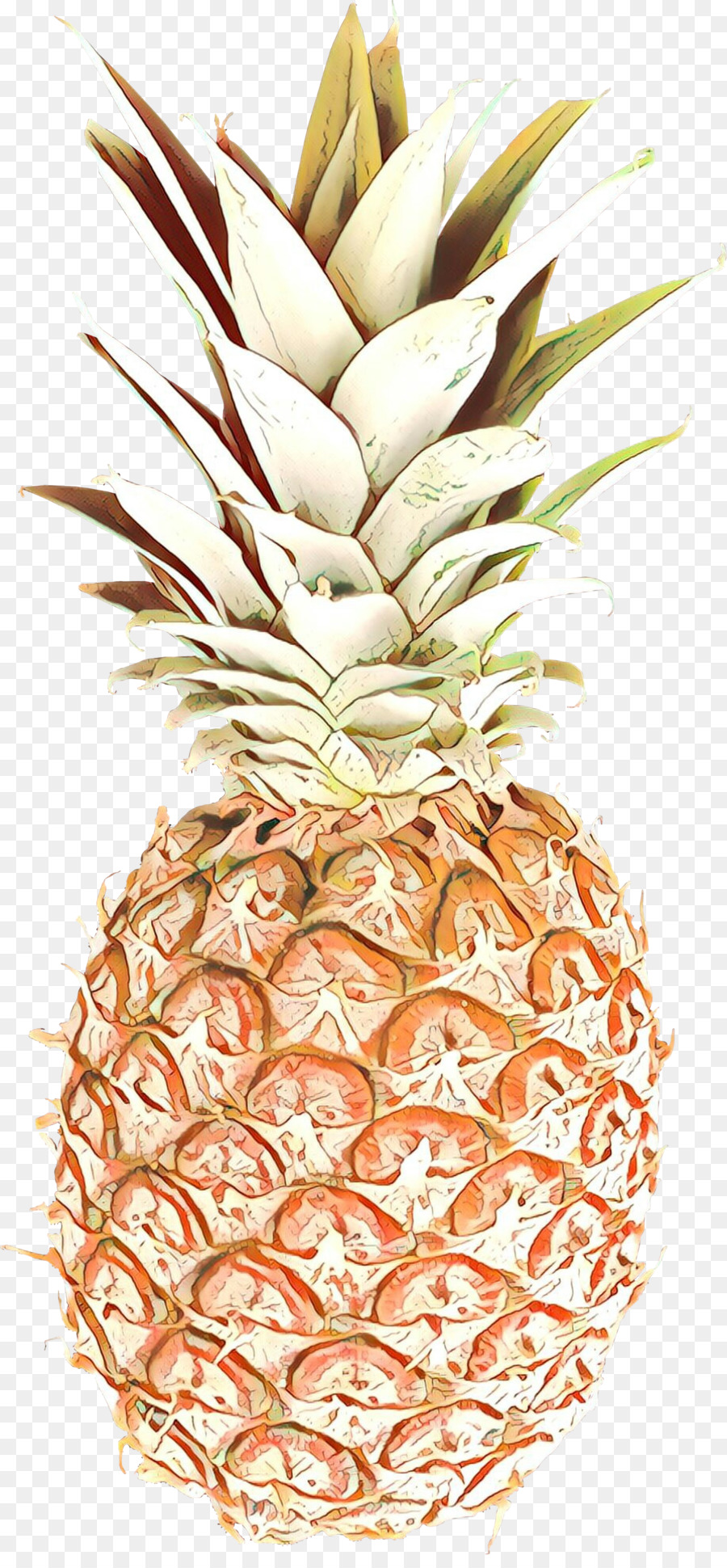 Piña，Tropical PNG