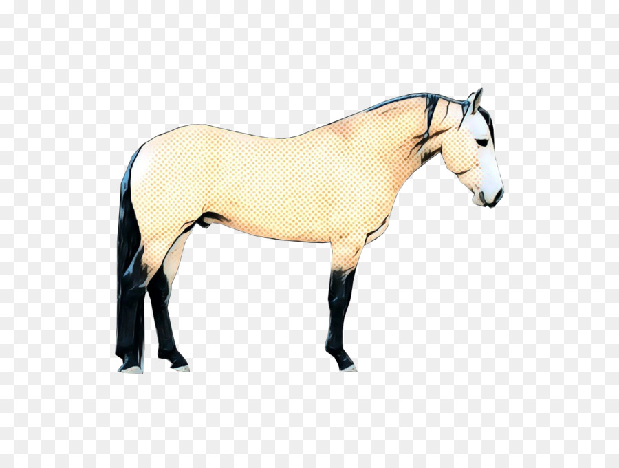 Caballo，Melena PNG