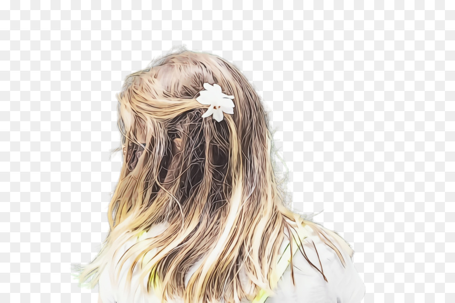 El Pelo Largo，Cabello PNG