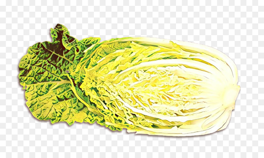 Lechuga Romana，Cocina Vegetariana PNG