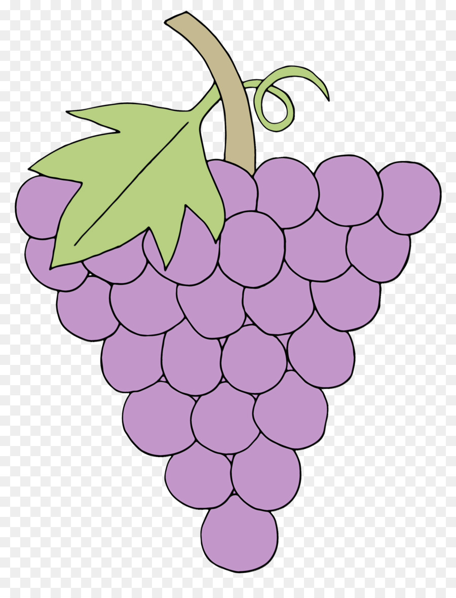 Uva，Morado PNG