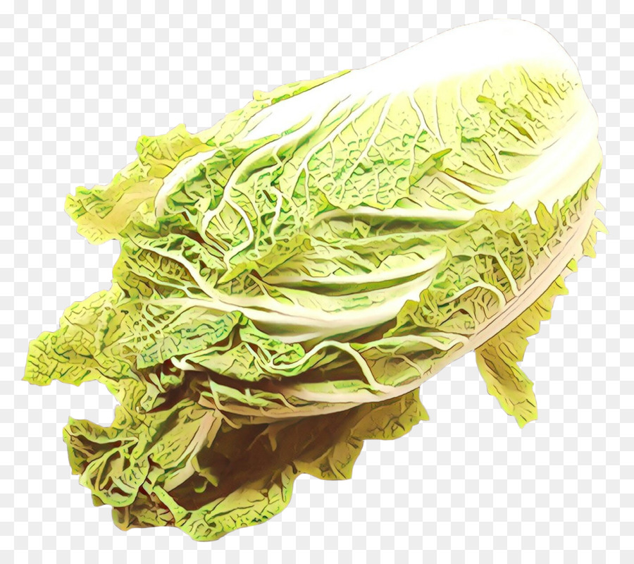 Lechuga Romana，Cocina Vegetariana PNG